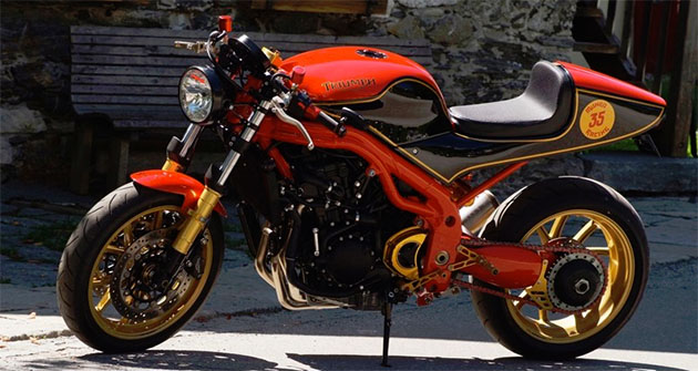 Speed Triple "Burt Munro Edition" by Julian Schneider